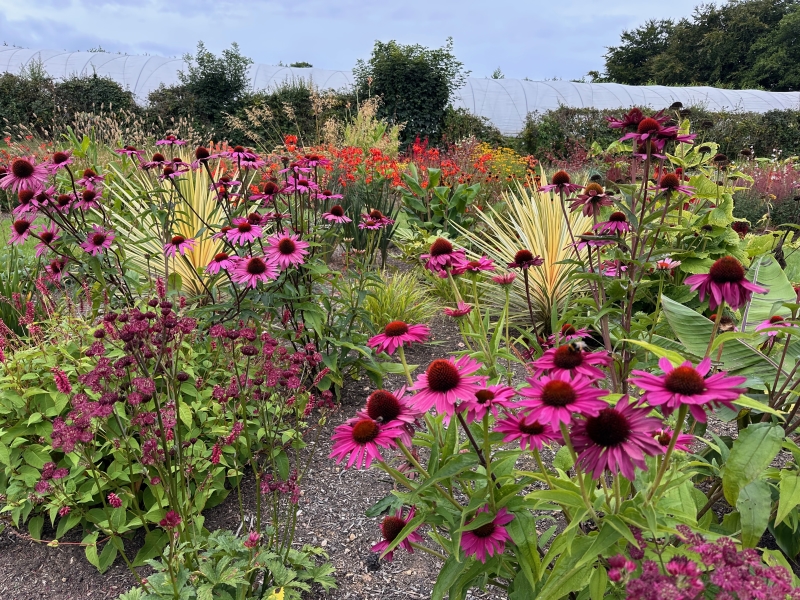 Mitchell Fruit Garden